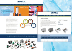 Binaca-Pumps-Website