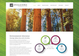 Johnson-Sedlack-Website