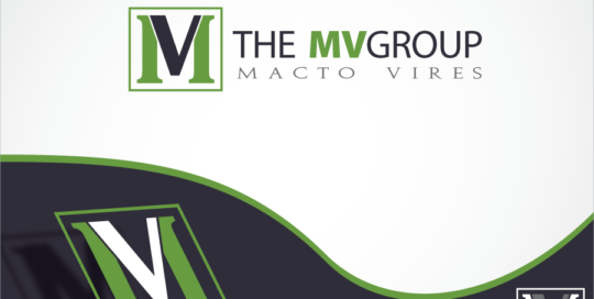 The-MV-Group--Logo